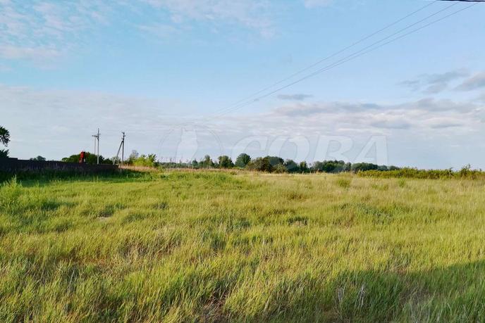 Продается сельско хозяйственное, в районе новой застройки, с. Криводанова, в районе Старый тобольский