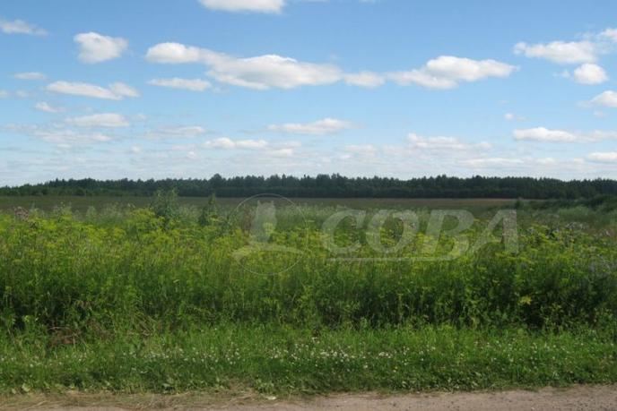 Продается земельный участок, назначение под ижс или лпх, в районе новой застройки, д. Есаулова, в районе Старый тобольский, Коттеджный поселок «Клюква»