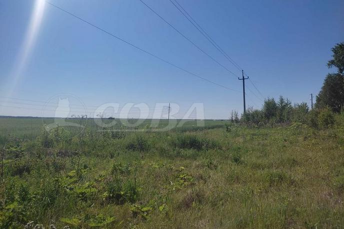 Продается земельный участок, назначение сельско хозяйственное, в районе Центральная часть, д. Малиновка, по Московскому тракту