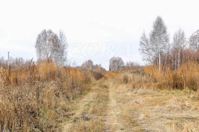 Продается земельный участок, назначение садовый участок, д. Решетникова, по Салаирскому тракту