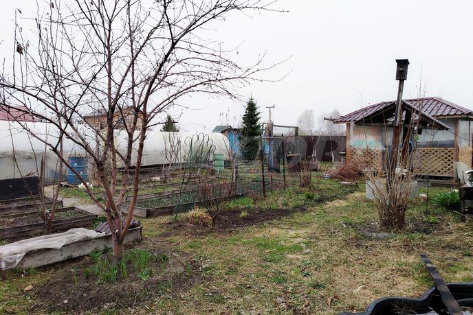 Продается земельный участок, назначение садовый участок, в районе Березняки, г. Тюмень, по Салаирскому тракту