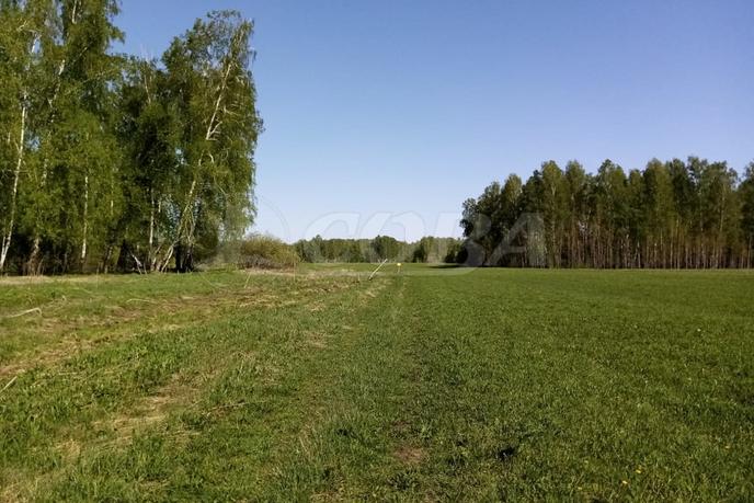 Участок Сельско-хозяйственное, в районе Западный, г. Ишим, по Ялуторовскому тракту