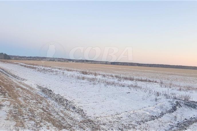 Продается сельско хозяйственное, в районе Центральная часть, д. Елань, по Московскому тракту