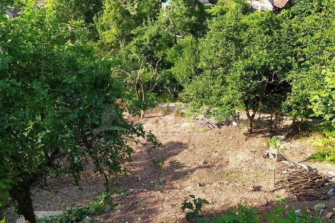 Садовый участок, в районе Мацеста, с/о садоводческое товарищество Зеленая Дубрава