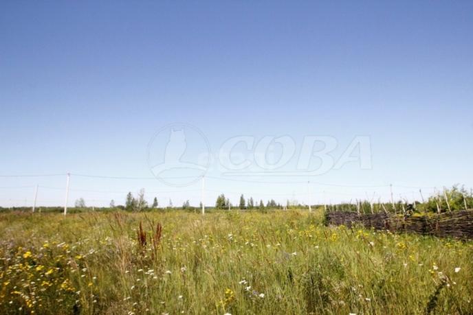 Продается сельско хозяйственное, в районе Западный, г. Ялуторовск, по Ялуторовскому тракту