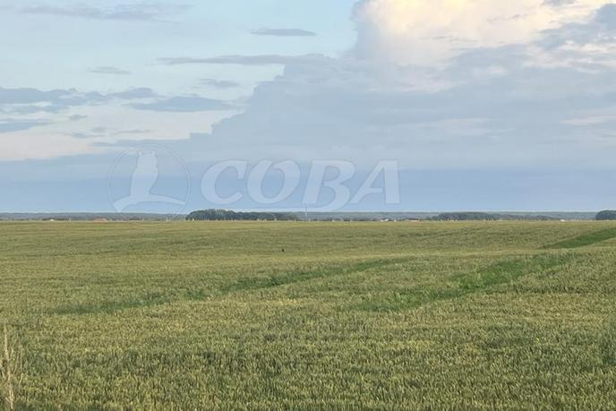 Продается сельско хозяйственное, в районе новой застройки, д. Насекина, по Ирбитскому тракту
